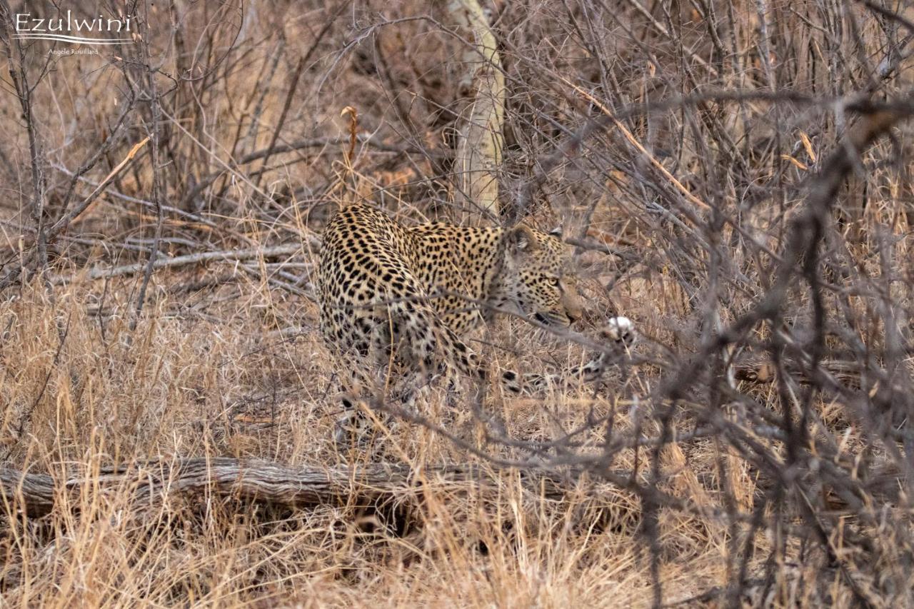 Ezulwini Game Lodges Mica Exterior photo